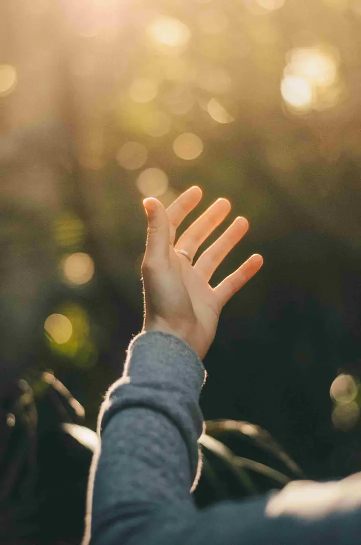 An open hand raised towards warm light